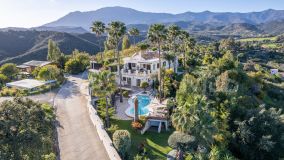 Villa for sale in El Padron, Estepona Est