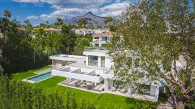 Villa for sale in Las Brisas del Golf, Nueva Andalucia