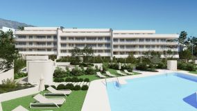 Brand new apartments located beachside in San Pedro. Walk to both the beach and the town!