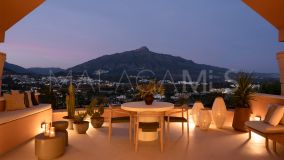 Penthouse for sale in Magna Marbella, Nueva Andalucia