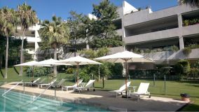 3 BEDROOM APPARTMENT IN THE EXCLUSIVE POLO GARDENS URBANISATION, SOTOGRANDE