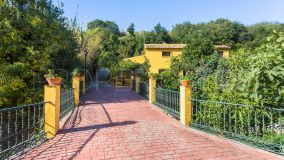 Ojen, finca en venta
