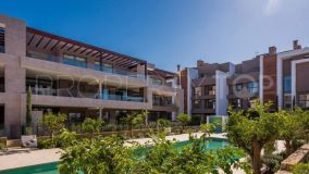 Luxury Apartment in Cancelada Estepona with Beach-style Pool