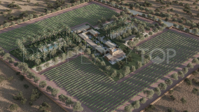 New construction project with renowned architect. Luxury villa with vineyards and olive trees.