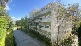 For sale Polo Gardens ground floor apartment