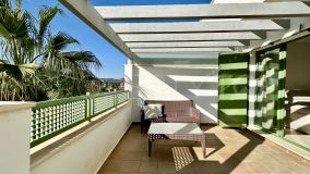 For sale 2 bedrooms penthouse in Jungla del Loro
