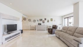 Apartamento en venta en Doncella Beach, Seghers