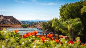 Appartement rez de chaussée for sale in Aloha Park, Nueva Andalucia