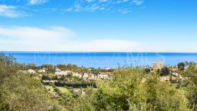 Villa zu verkaufen in El Padron, Estepona Ost