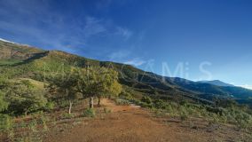 Plot for sale in La Zagaleta, Benahavis