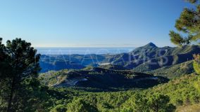 Plot for sale in La Zagaleta, Benahavis