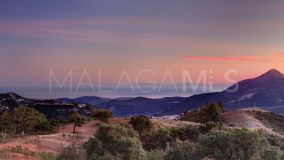 Plot for sale in La Zagaleta, Benahavis