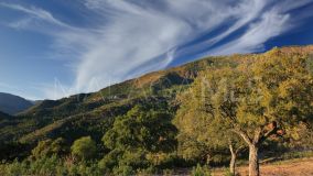 Plot for sale in La Zagaleta, Benahavis