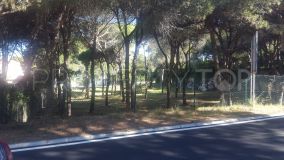 For sale Hacienda las Chapas plot