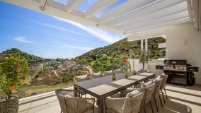 Appartement Terrasse for sale in Palo Alto, Ojen