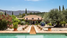 Estate for sale in Periana