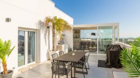 Penthouse for sale in Terrazas del Rodeo, Nueva Andalucia