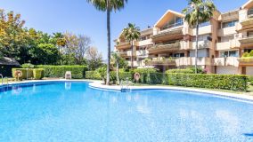 Apartamento Planta Baja en venta en Magna Marbella, Nueva Andalucia