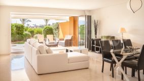 Buy apartment in Ribera del Marlin