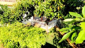 Finca for sale in El Padron, Estepona