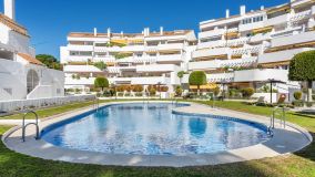 Duplex Penthouse for sale in El Dorado, Nueva Andalucia