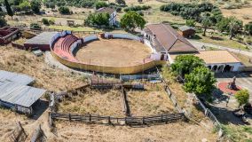 Se vende finca en Castilblanco de los Arroyos