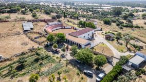 Finca in Castilblanco de los Arroyos for sale