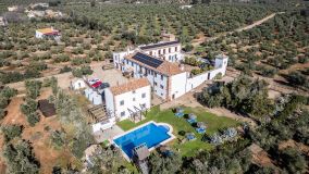 10 bedrooms estate for sale in Montoro