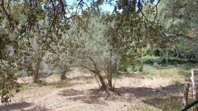 For sale Aracena plot