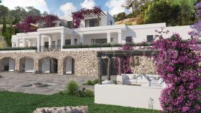 Buy villa in San Carlos