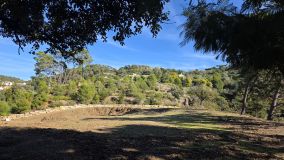 Plot for sale in La Zagaleta, Benahavis