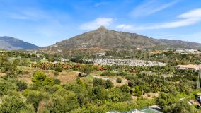 Villa for sale in Finca La Judía, Nueva Andalucia