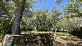 Plot for sale in Sotogrande Alto, Zone E