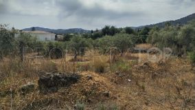 Pinos de Alhaurín plot for sale