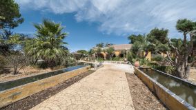 Ferme for sale in Ronda