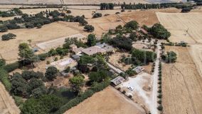 Equestrian estate with cortijo in the Grazalema and Ronda area, Andalusia