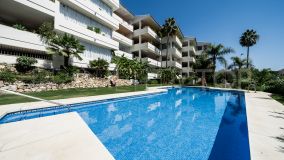 For sale Don Carlos ground floor apartment