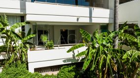 Apartamento Planta Baja en venta en Don Carlos, Marbella Este