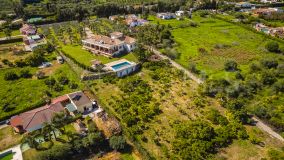 Finca zu verkaufen in El Padron, Estepona Ost