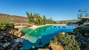 Estate for sale in Alhaurin de la Torre