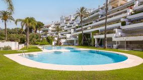 Duplex Planta Baja en venta en Birdie Club, Marbella Este