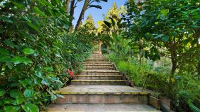 Duplex Penthouse for sale in Eden Hill, Marbella Est