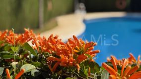 Maison de Ville for sale in Valle Romano, Estepona Ouest