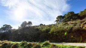 Parcela en venta en Los Reales - Sierra Estepona, Altos de Estepona