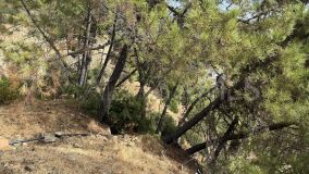 Plot for sale in Benahavis Centro