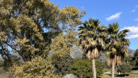 Adosado en venta en Nueva Andalucia, Marbella