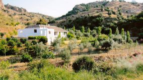 For sale finca with 4 bedrooms in Almogia