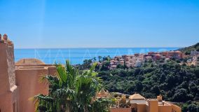 Appartement Terrasse for sale in La Duquesa, Manilva