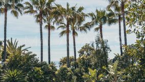 Appartement for sale in Estepona Est