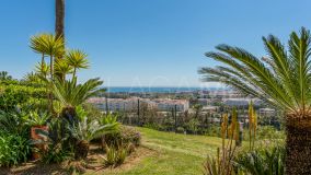 Apartamento Planta Baja en venta en Magna Marbella, Nueva Andalucia